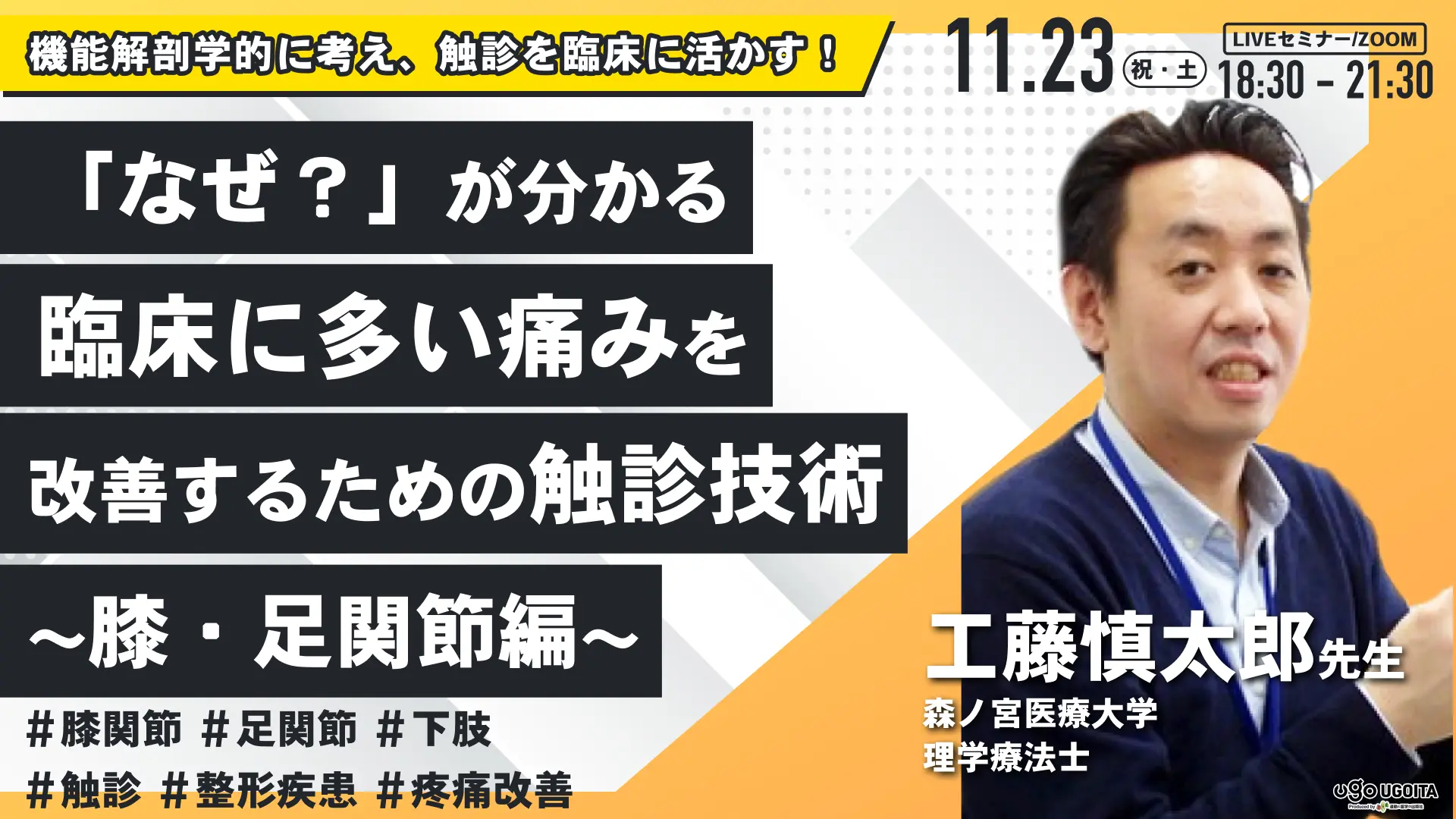 機能解剖と触診 ２３０本のＷｅｂ動画つき  /羊土社/工藤慎太郎（単行本） 楽天市場】羊土社 機能解剖と触診 230本のWeb動画つき/羊